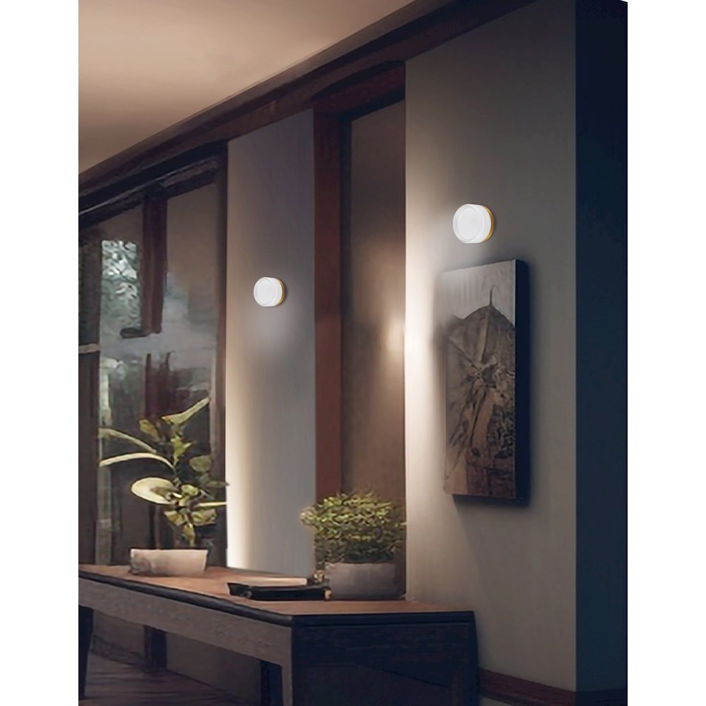 15W Wall Sconce Aged Brass with Clear & Frosted Acrylic Diffuser. Picture 3