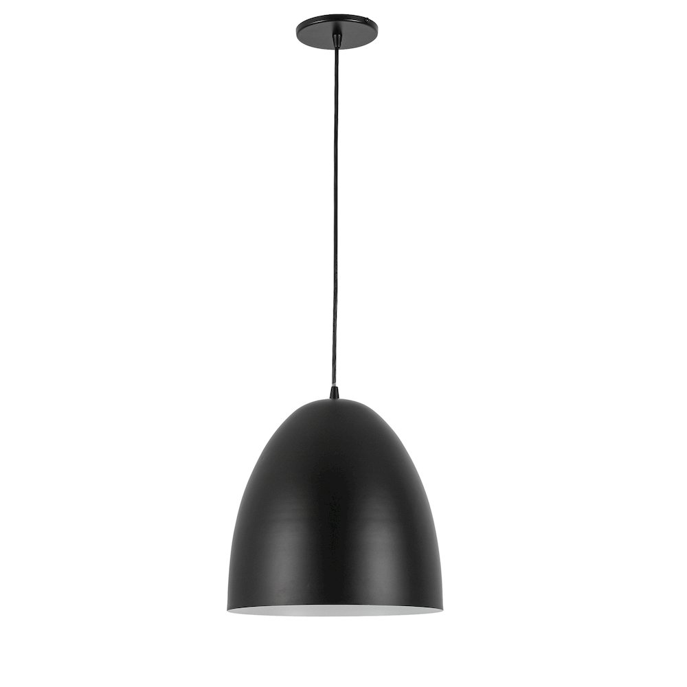 1 Light Pendant in Matte Black w/ in Matte Black Metal Shade. Picture 1