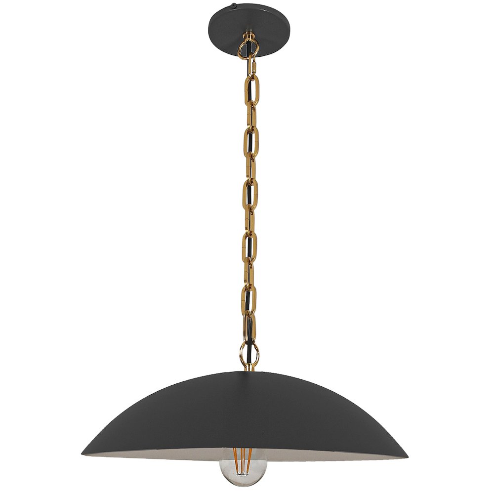 1 Light Pendant in Matte Black w/ Aged Brass Chain. Picture 1