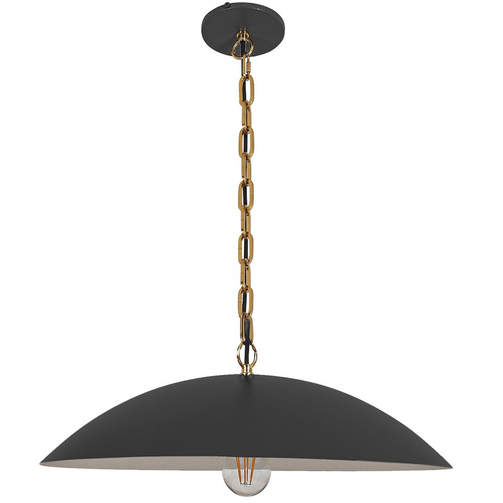 1 Light Pendant in Matte Black w/ Aged Brass Chain. Picture 1