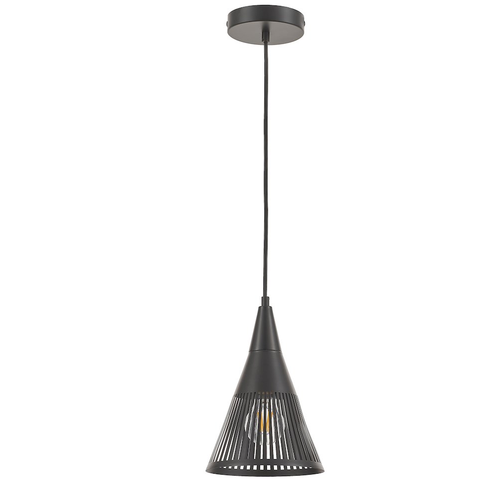 1 Light Pendant in Matte Black. Picture 1