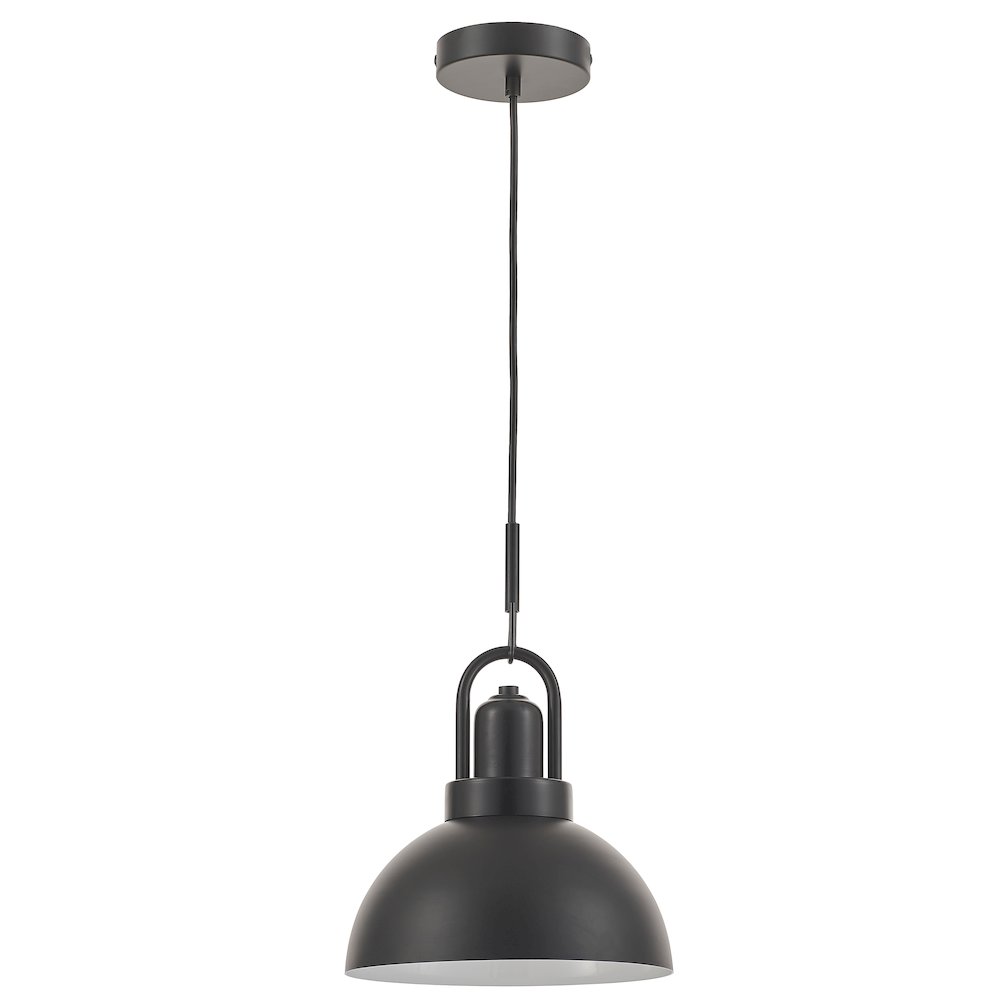 1 Light Pendant in Matte Black. Picture 1