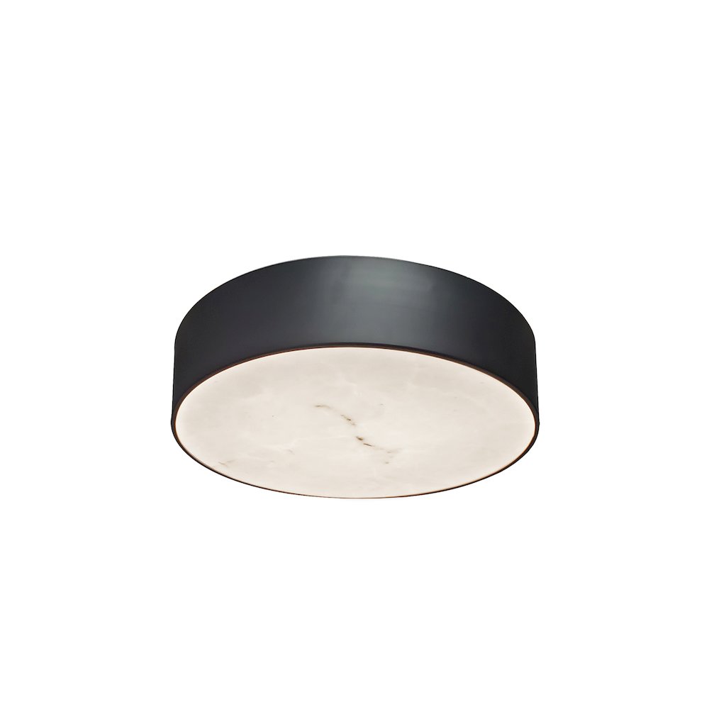 20W Flush Mount in Matte Black w/ Alabaster Diffuser. Picture 1