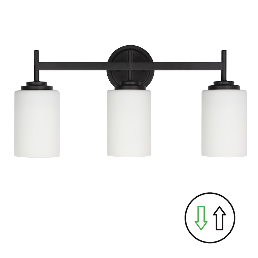 3 Light Vanity in Matte Black. Picture 1