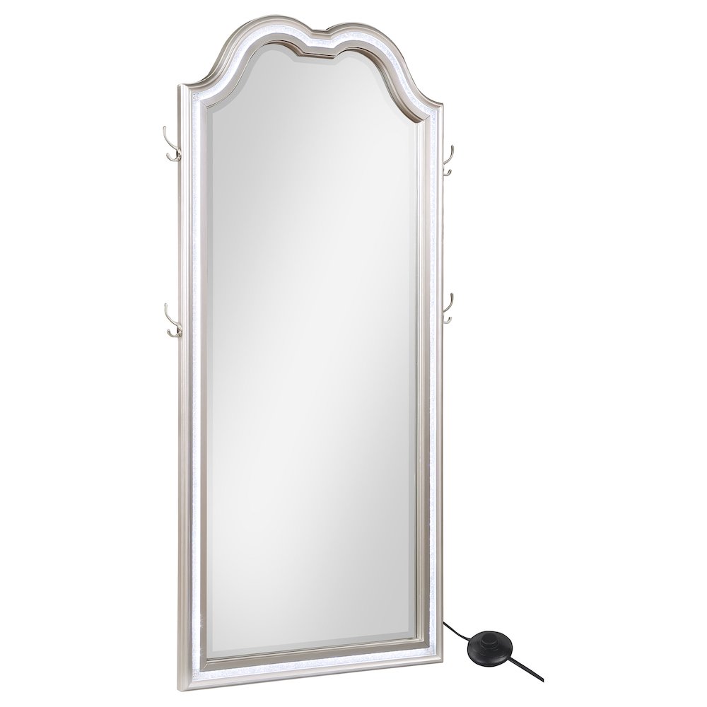 Evangeline Full Length LED Light Floor Mirror Silver Oak. Picture 1