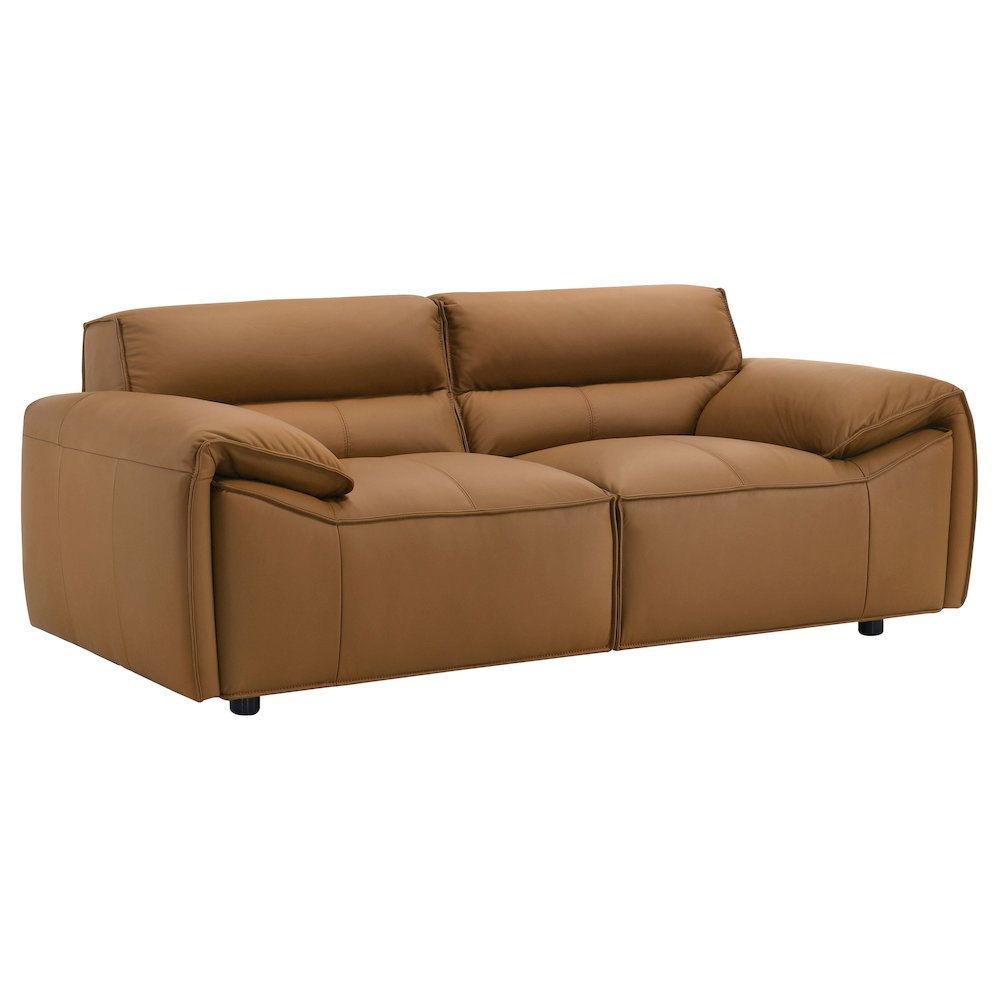 Buxton Top Grain Leather Upholstered Loveseat Orange. Picture 1