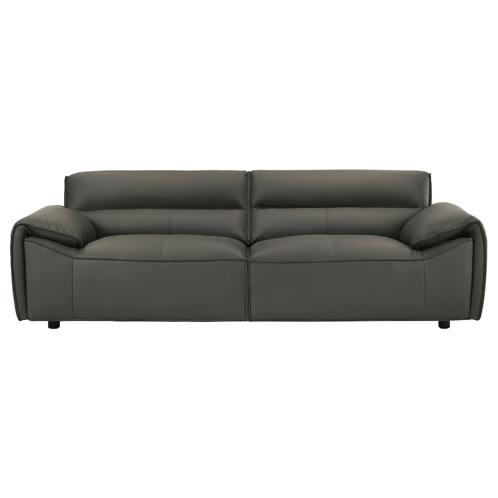 Buxton Top Grain Leather Upholstered Sofa Graphite. Picture 2