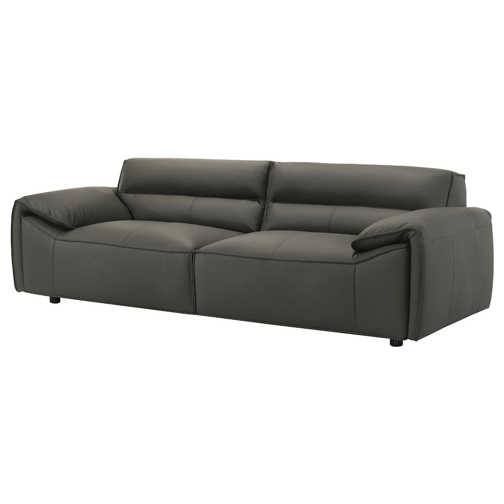 Buxton Top Grain Leather Upholstered Sofa Graphite. Picture 3