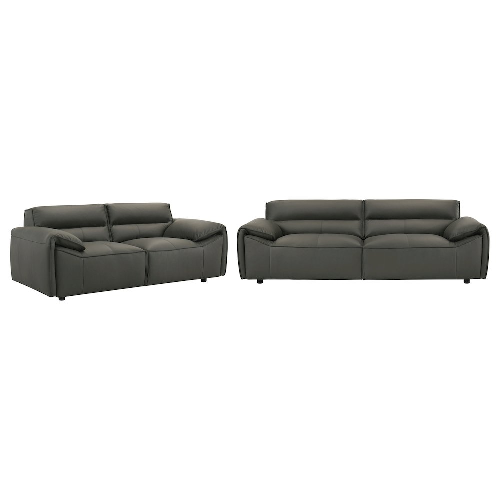 Buxton 2-piece Leather Upholstered Sofa Set Graphite. Picture 1