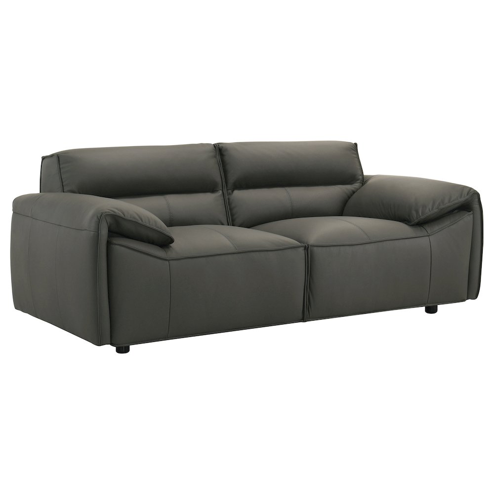 Buxton Top Grain Leather Upholstered Loveseat Graphite. Picture 1