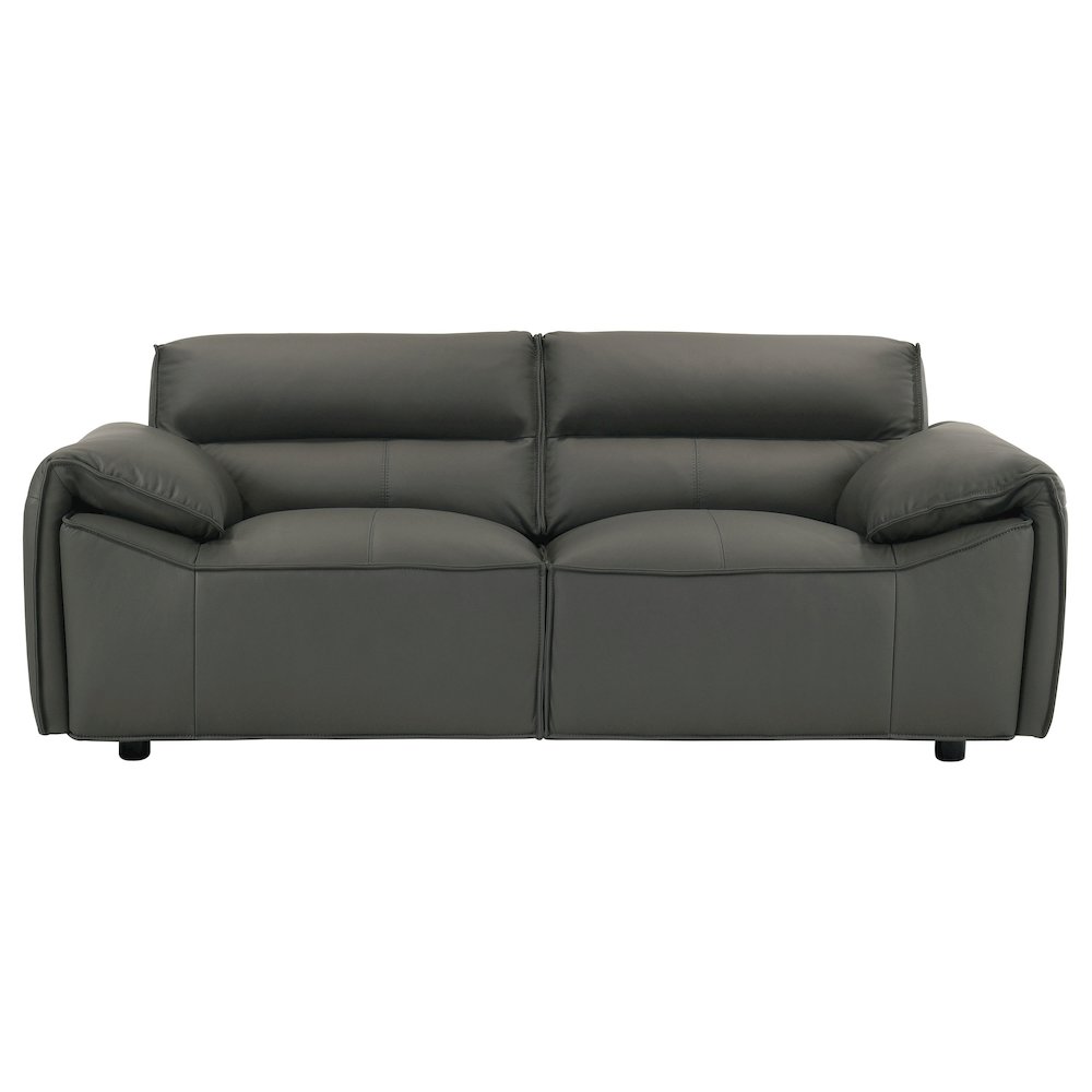 Buxton Top Grain Leather Upholstered Loveseat Graphite. Picture 2