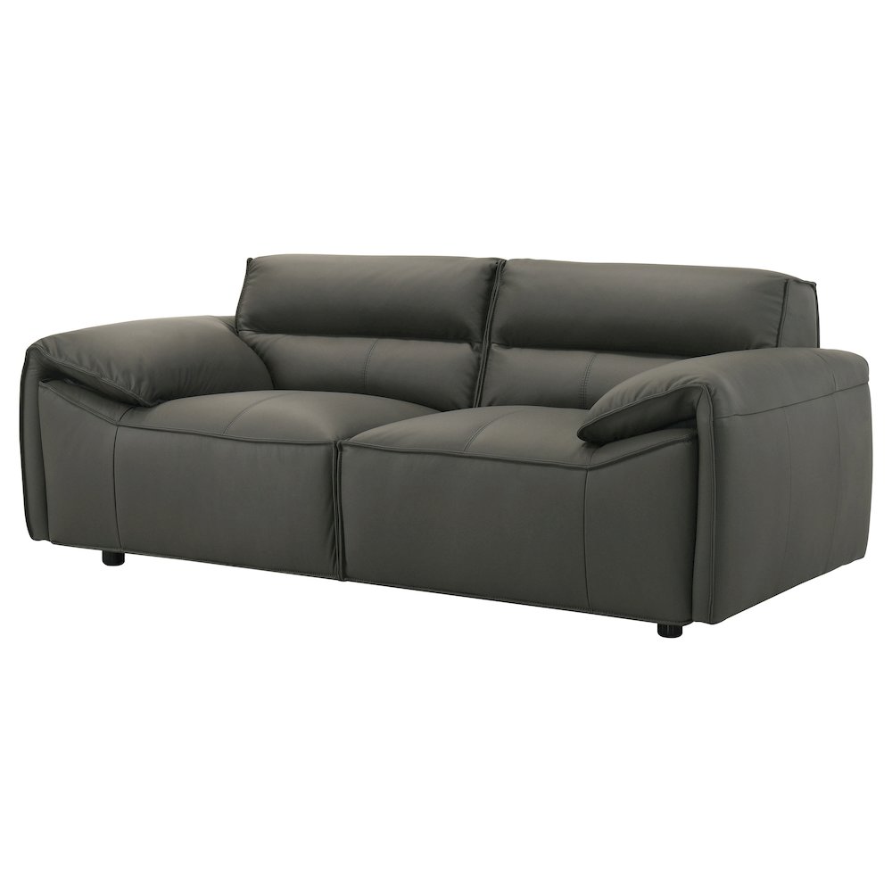 Buxton Top Grain Leather Upholstered Loveseat Graphite. Picture 3