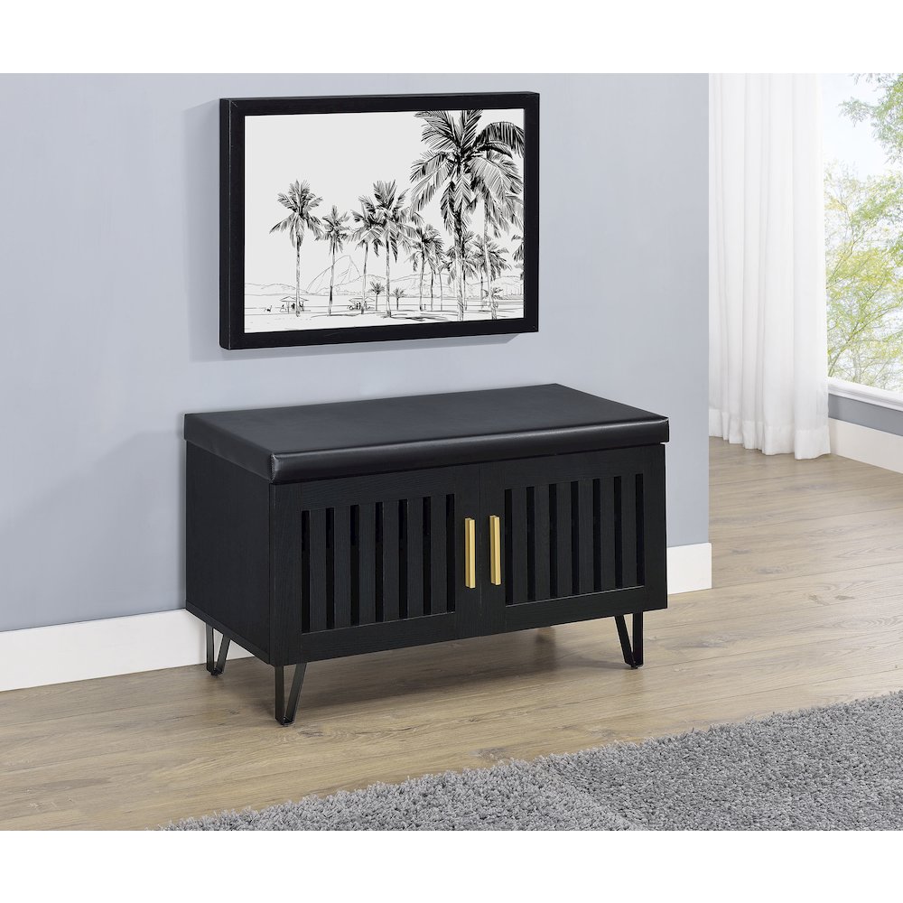 Addie 2-door Padded Entryway Shoe Storage Bench Black. Picture 1