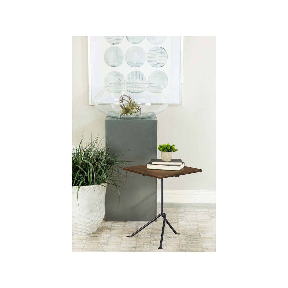 Heitor Square Wood Top Accent Side Table Dark Brown. Picture 3