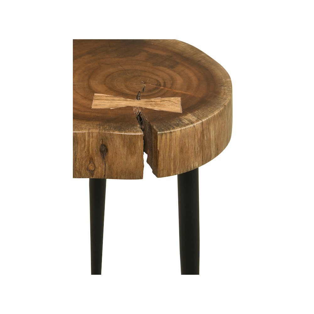 Keith Round Solid Tree Trunk Side Table Natural and Black. Picture 4