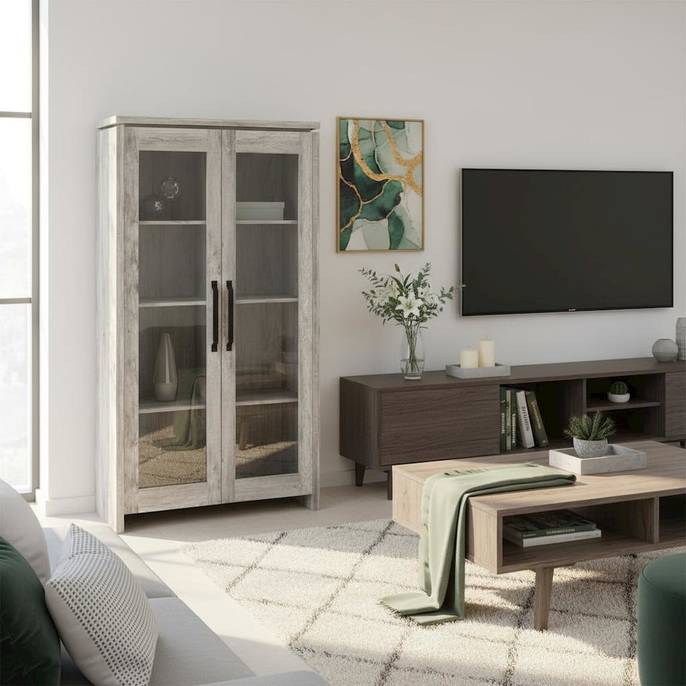 Modern 2-Door Tall Cabinet, Grey Driftwood, Glass Doors, Storage. Picture 3