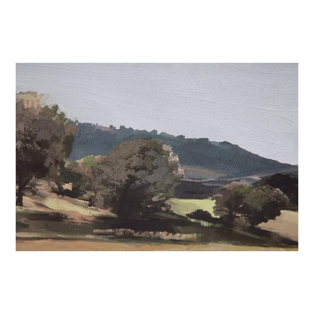 Vast Country Framed Painting. Picture 7