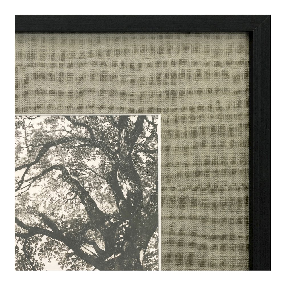 Arise Framed Print. Picture 4