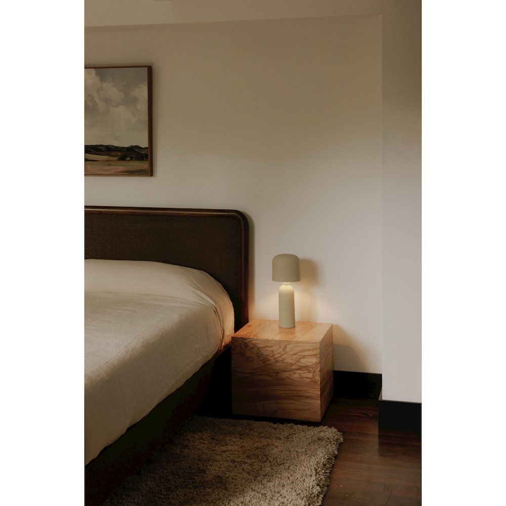 Echo Lamp. Picture 6