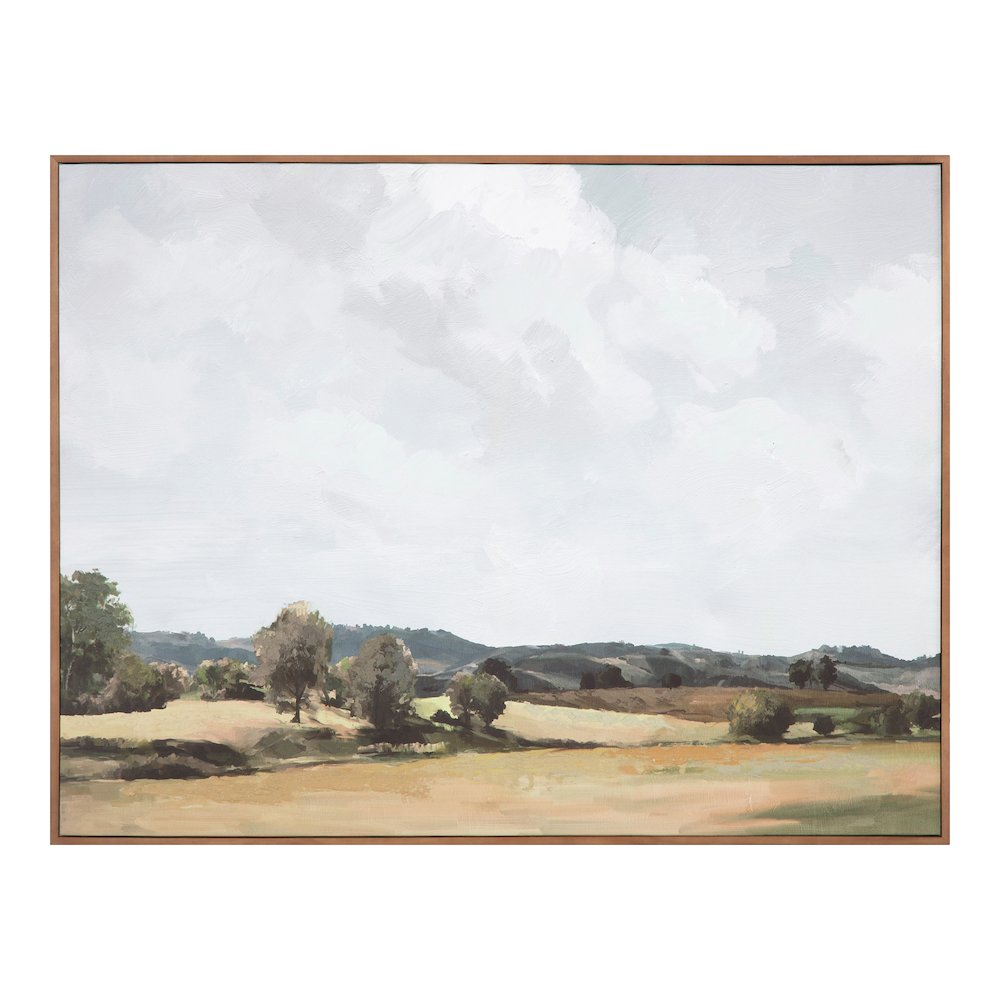 Vast Country Framed Painting. Picture 1