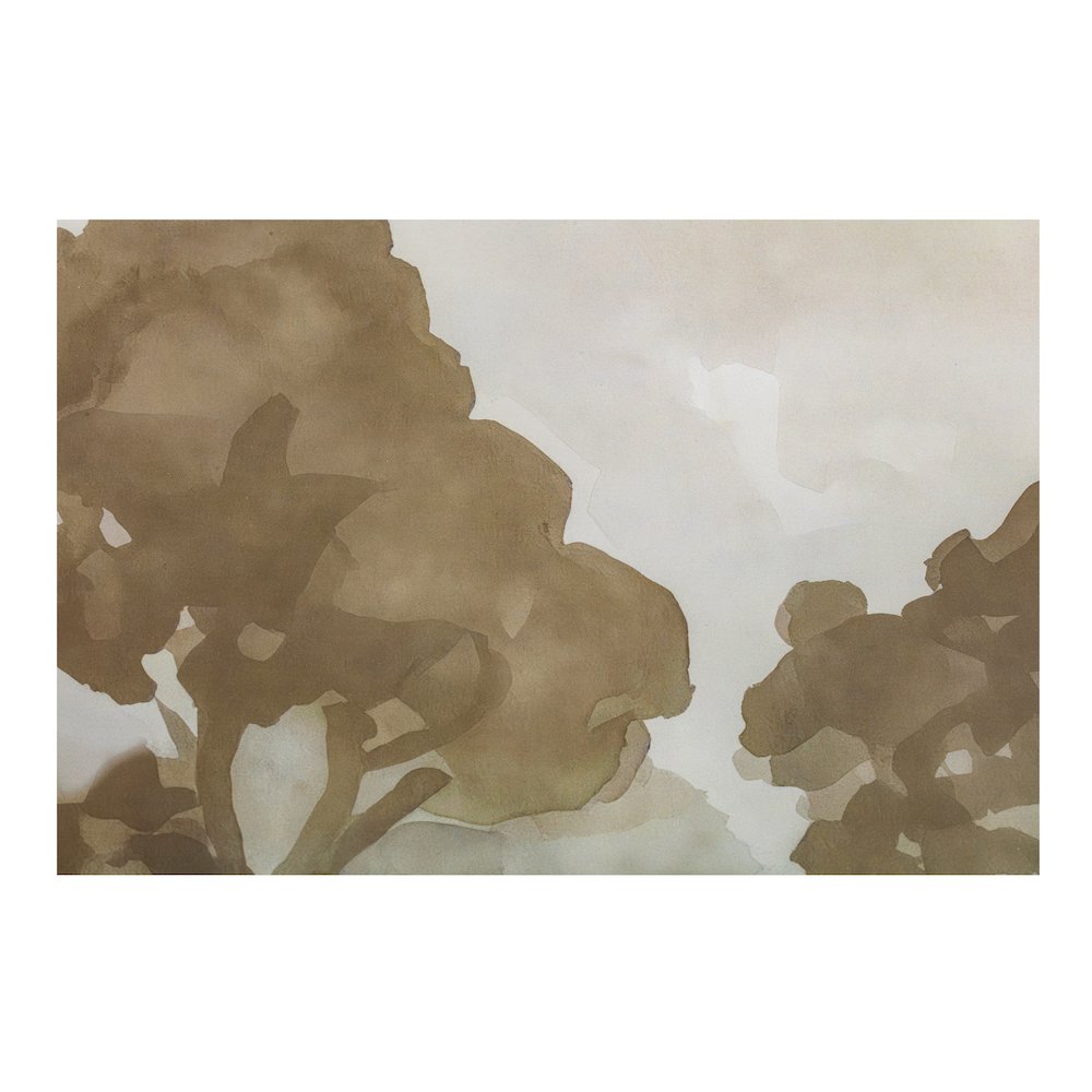 Ash Framed Print. Picture 4
