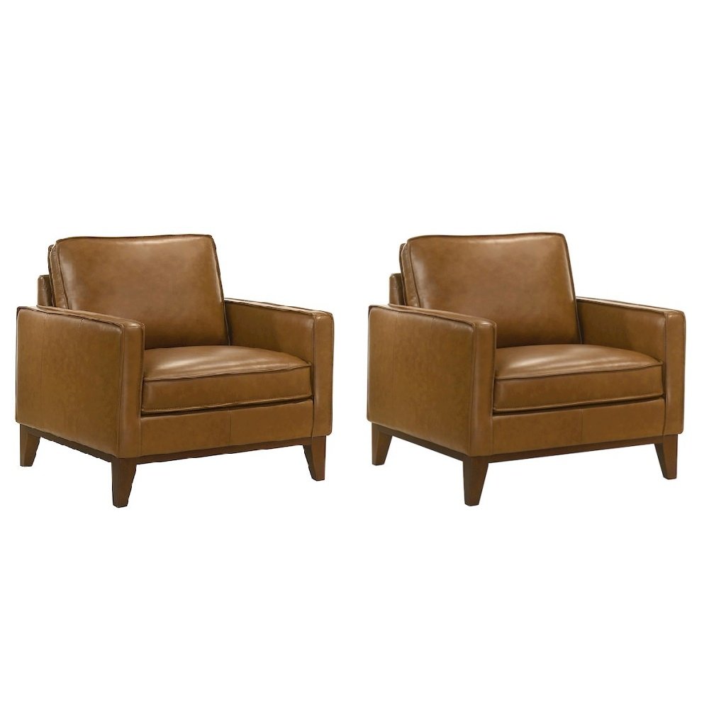 Caspar Leather Arm Chair in Caramel (Set of 2). Picture 1