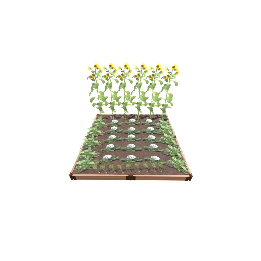 Classic Sienna Raised Garden 8' X 8' X 5.5" - 2" Profile. Picture 1