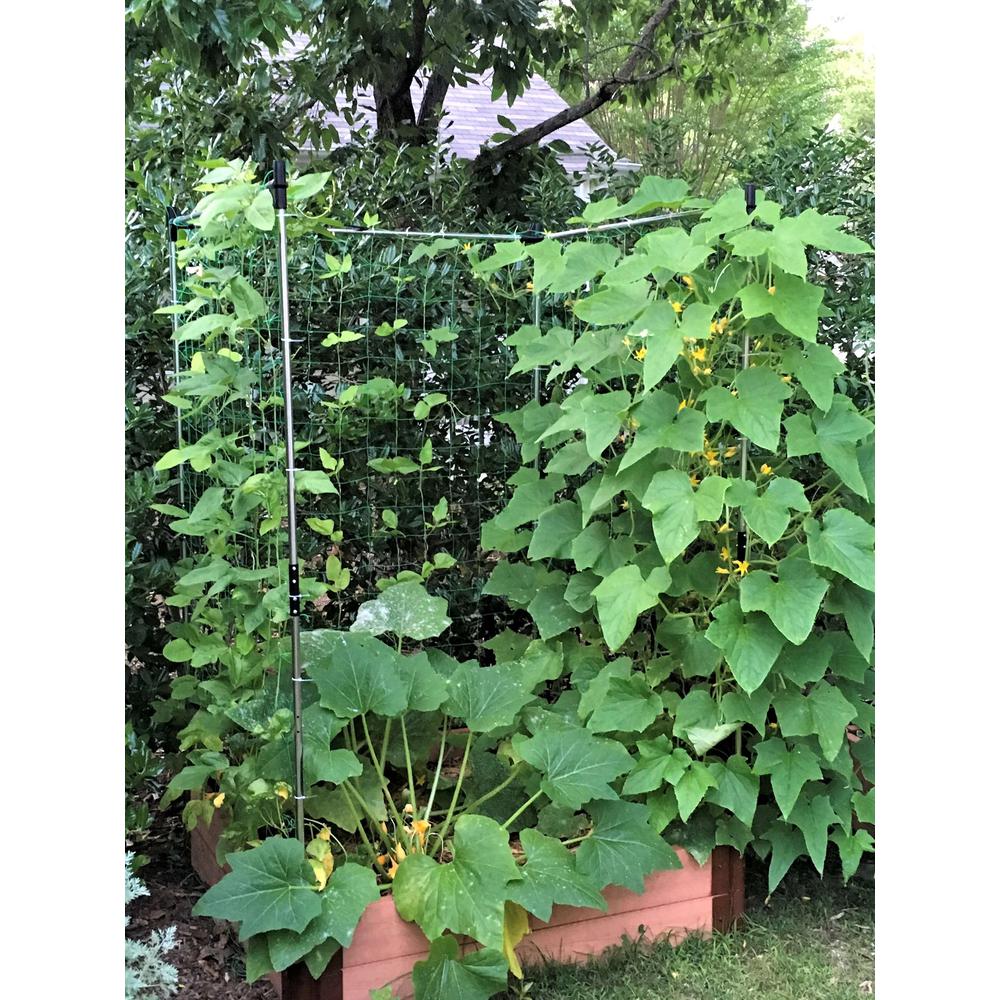 Stack & Extend Veggie Wall Trellis. Picture 2