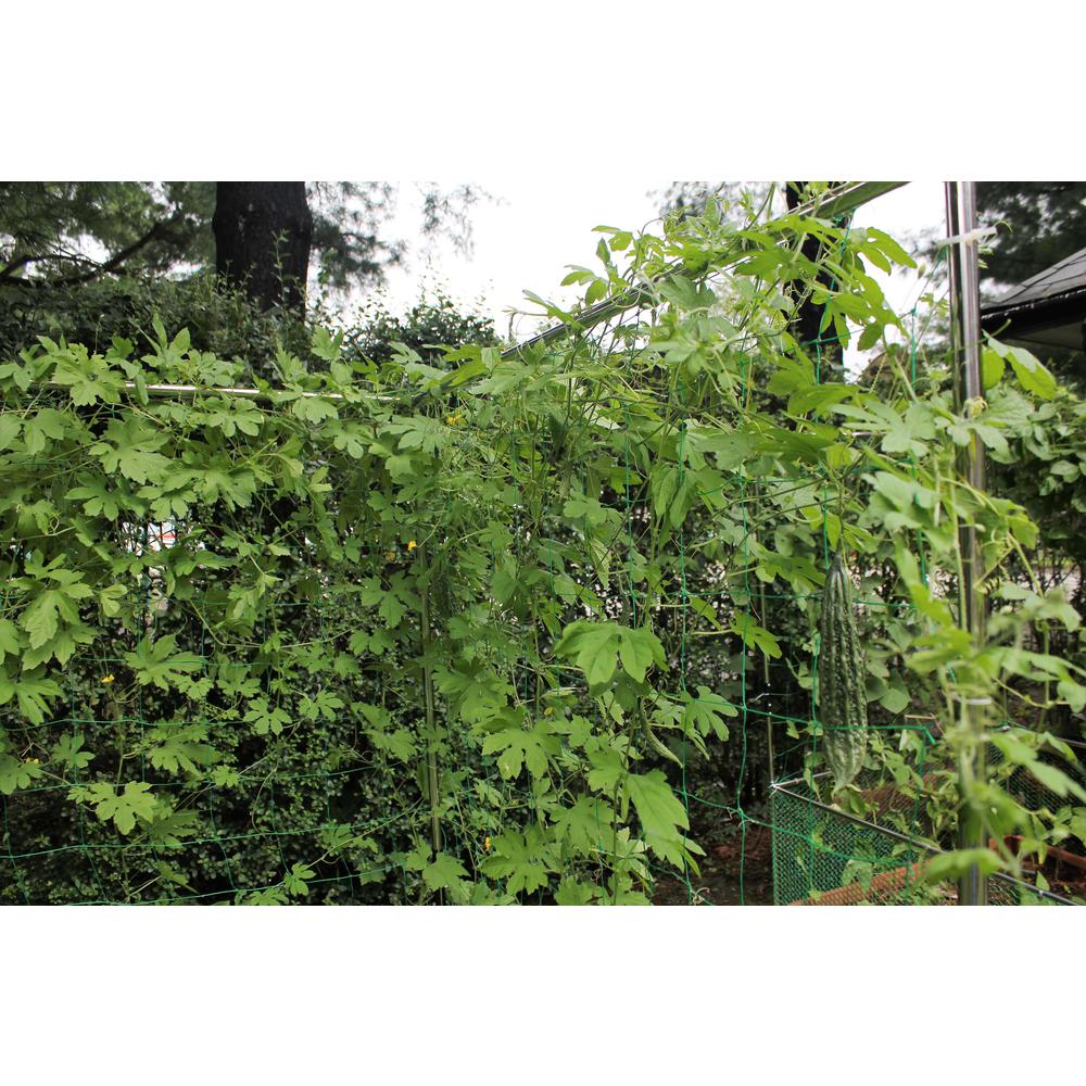 Stack & Extend Veggie Wall Trellis. Picture 7