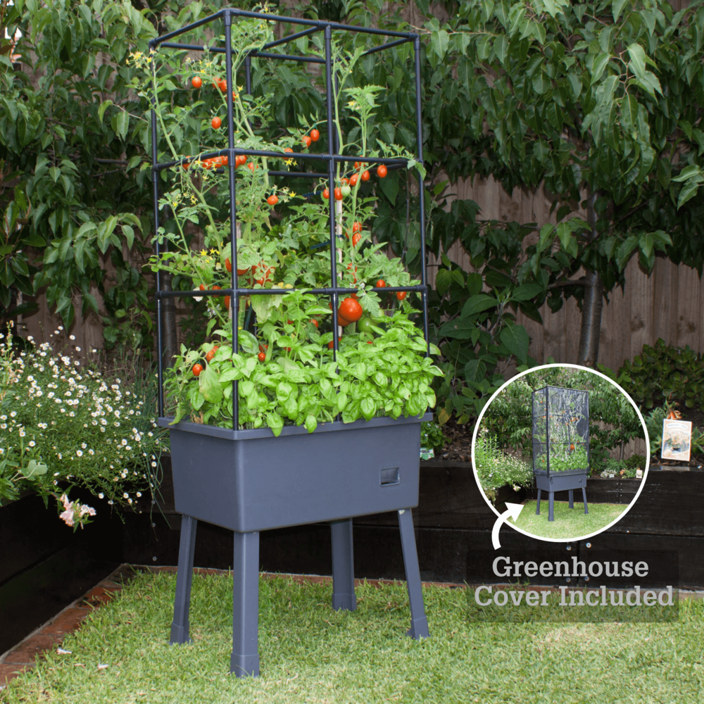 Self-Watering Elevated Planter With Trellis Frame And Greenhouse Cover. Picture 4