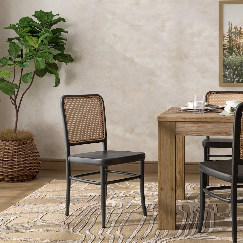 Sonora Rattan Dining Side Chair Wood Seat (Set of 2). Picture 10