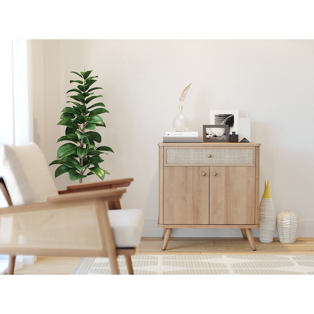 Thelma KD Rattan Small Cabinet 1 Drawer + 2 Doors. Picture 10