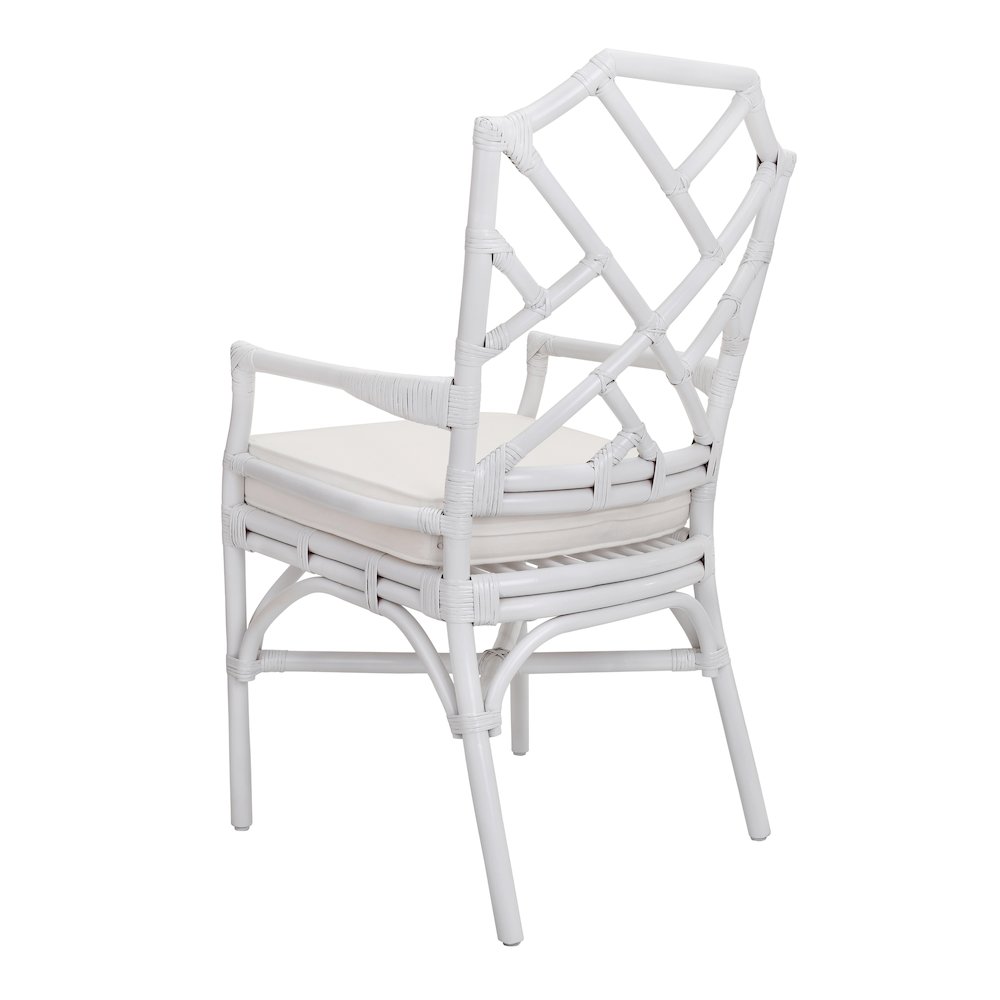 Kara Rattan Arm Chair. Picture 5