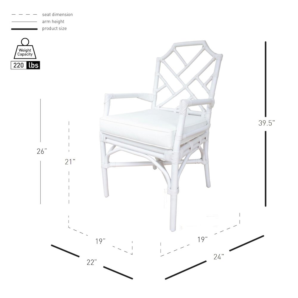 Kara Rattan Arm Chair. Picture 9