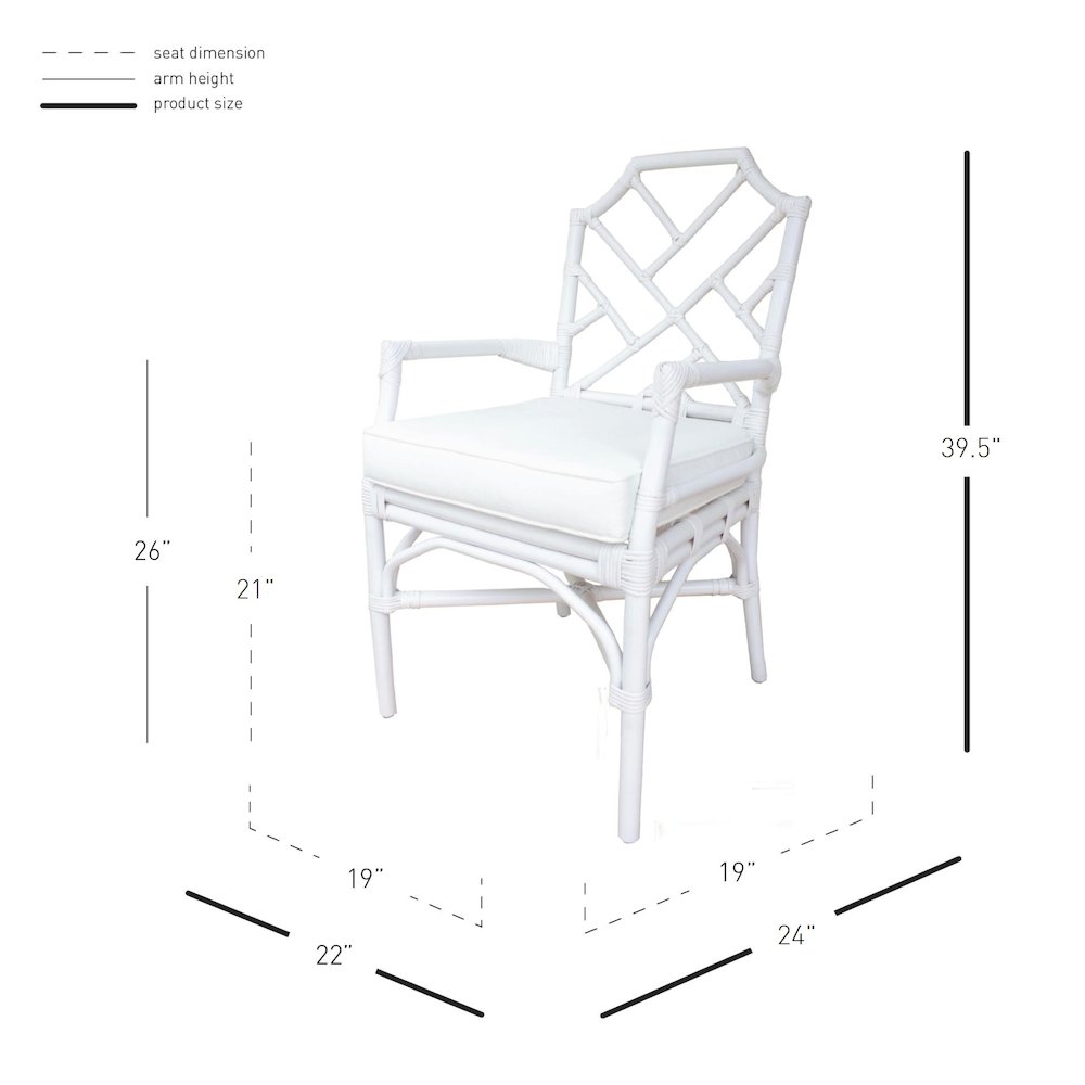 Kara Rattan Arm Chair. Picture 10