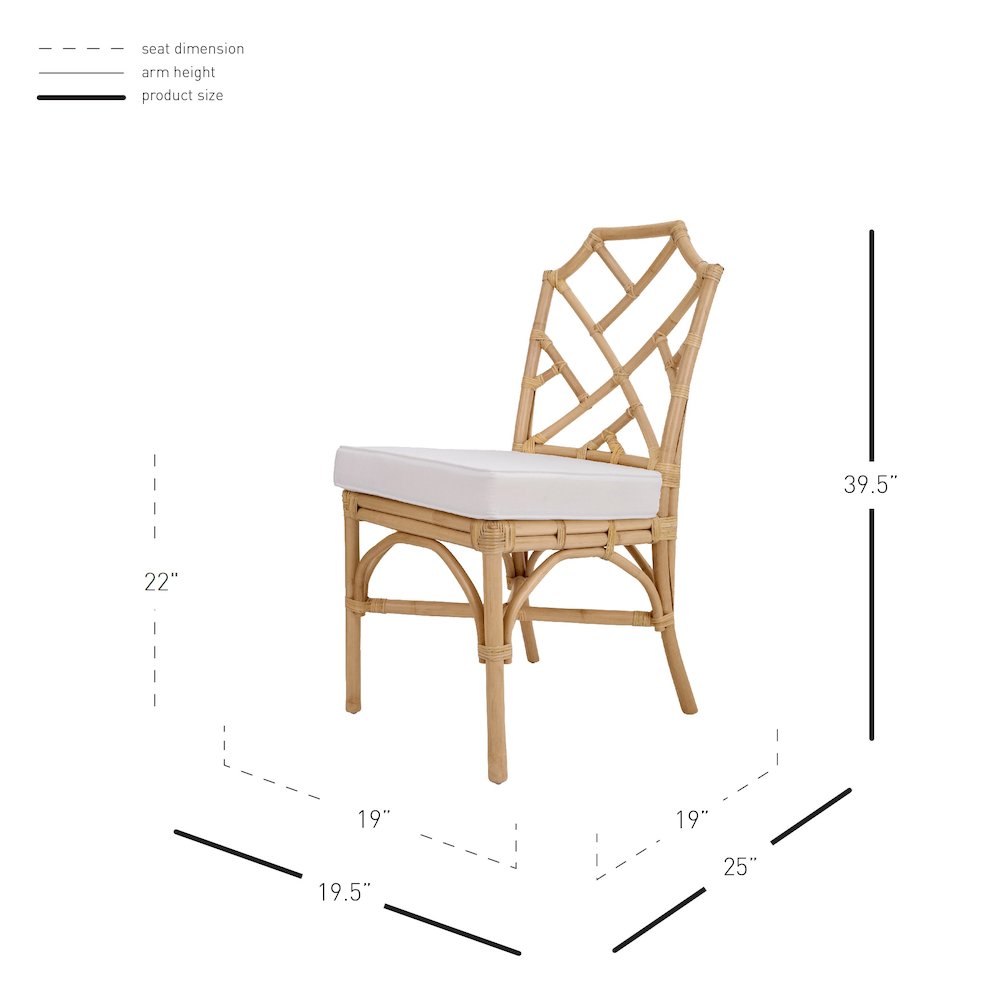 Kara Rattan Dining Side Chair, (Set of 2). Picture 9