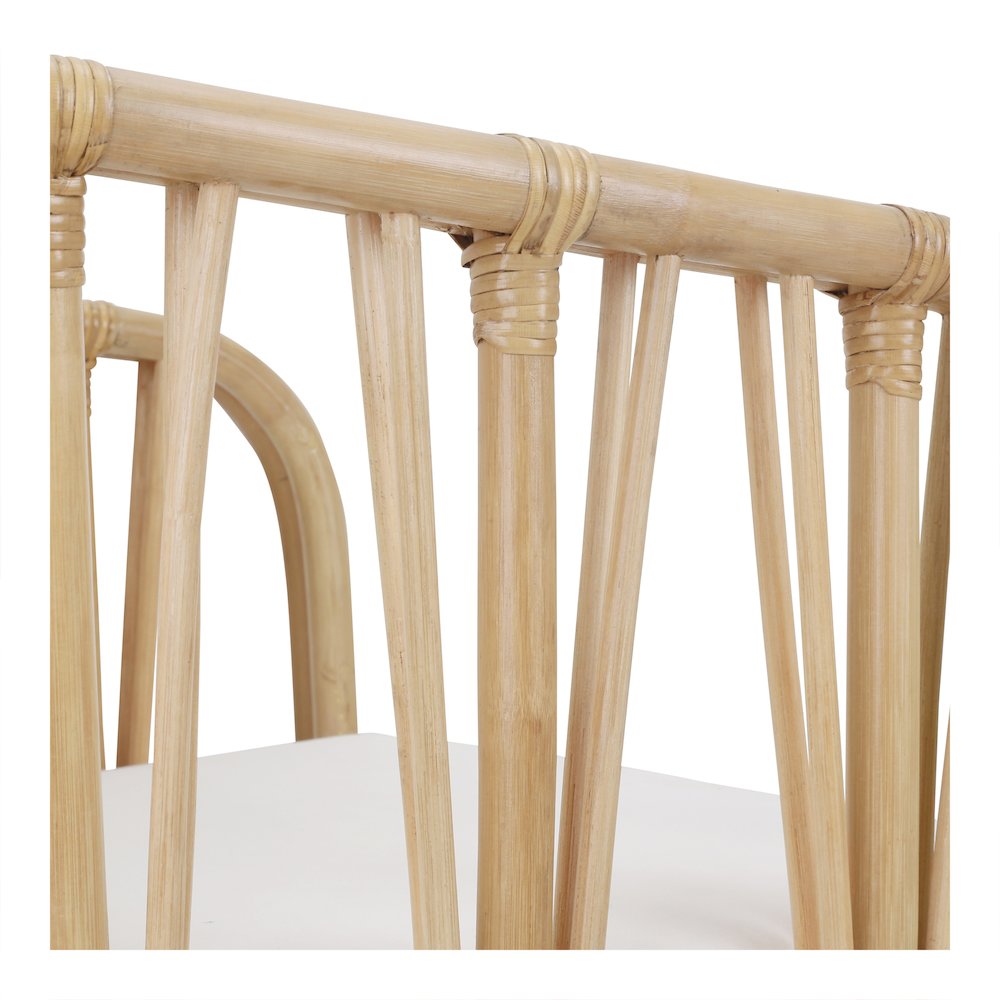 Shanaya Rattan Accent Arm Chair. Picture 6