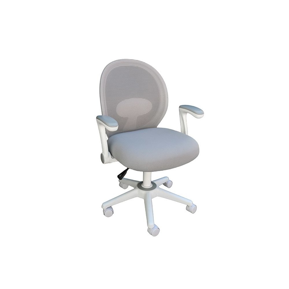 Boss Grey Mesh, Flip Arm, Task Chair, White Frame. Picture 1