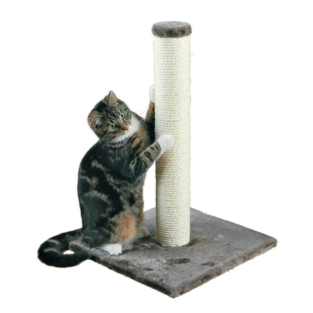 Parla Sisal 24.5" Cat Scratching Post with Plush Base, Gray. Picture 2