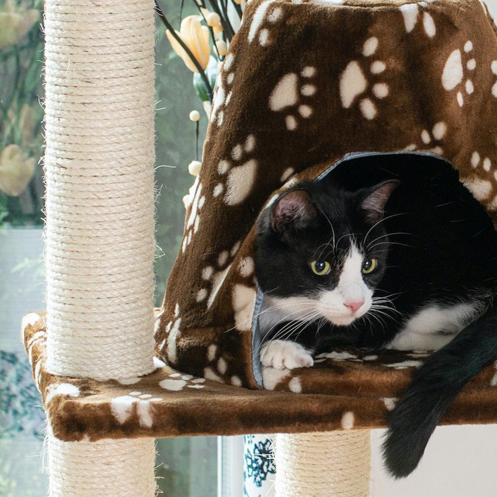 Real Wood Cat Tree Hammock Bed With Natural Sisal Post For Cats And Kittens. Picture 4