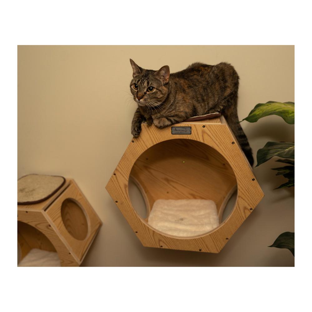 Armarkat Real Wood Wall Series: Set of Two Natural Wood Wall Tree Additions W2107A. Picture 5