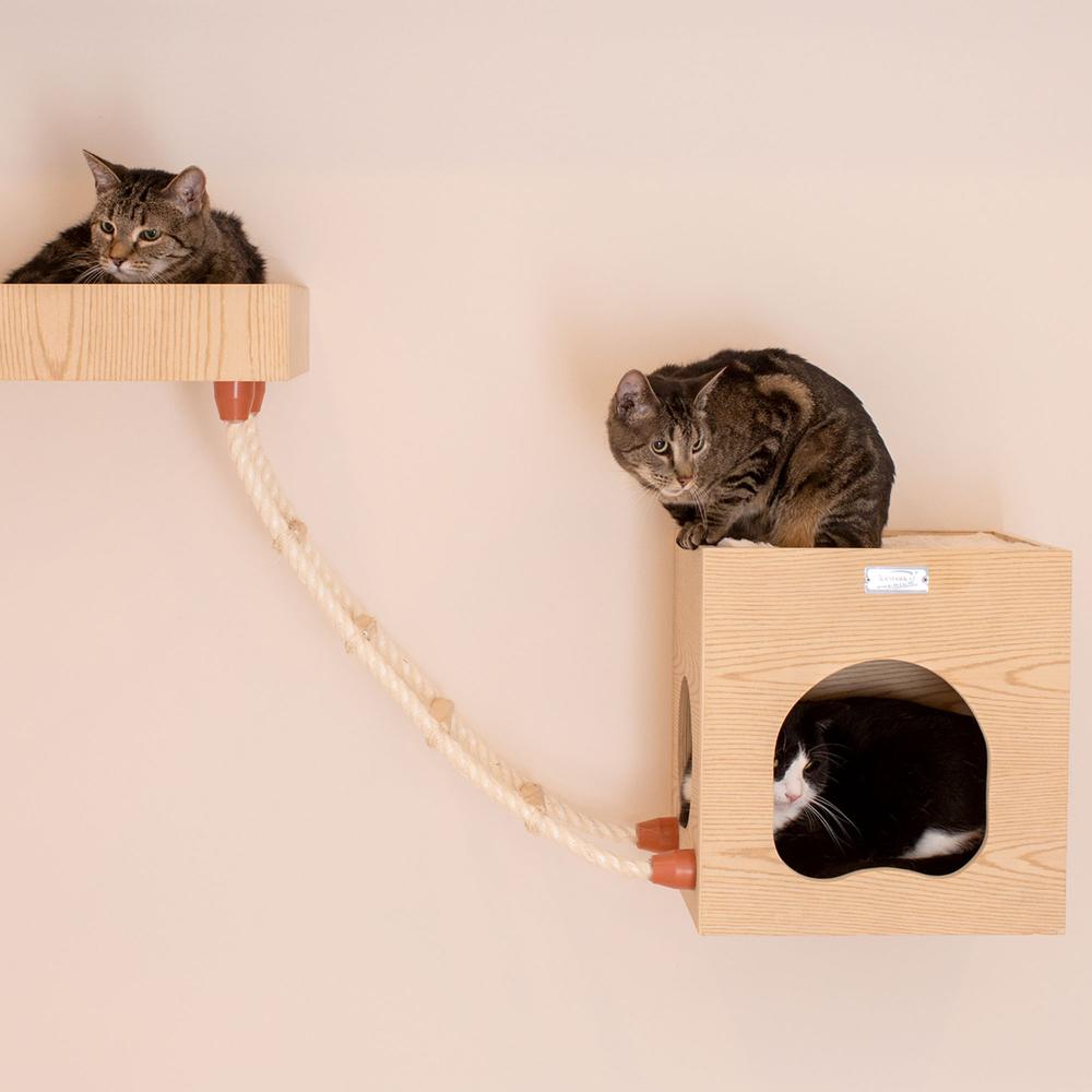 Real Wood Wall Series: Tree With Condo, Perch And Soft Perch. Picture 6