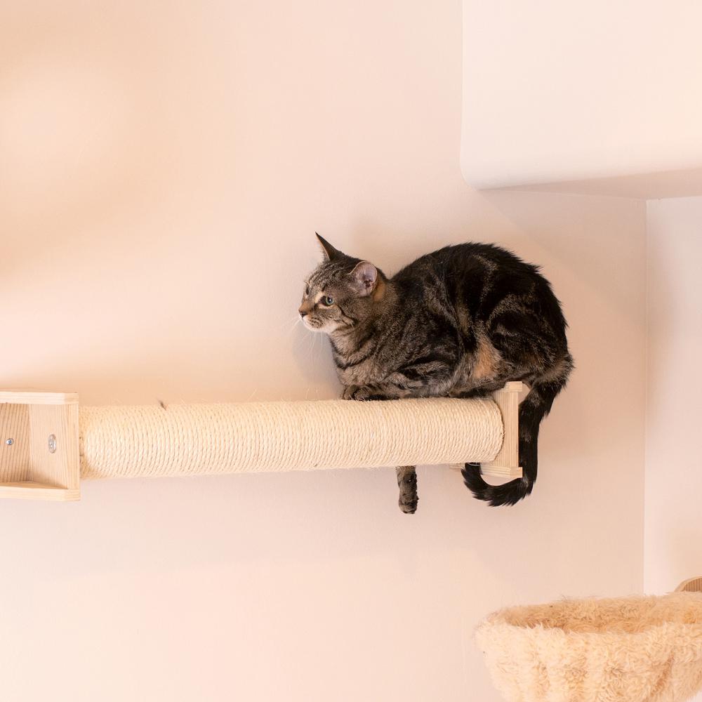 Real Wood Wall Series: Scratching Post. Picture 4