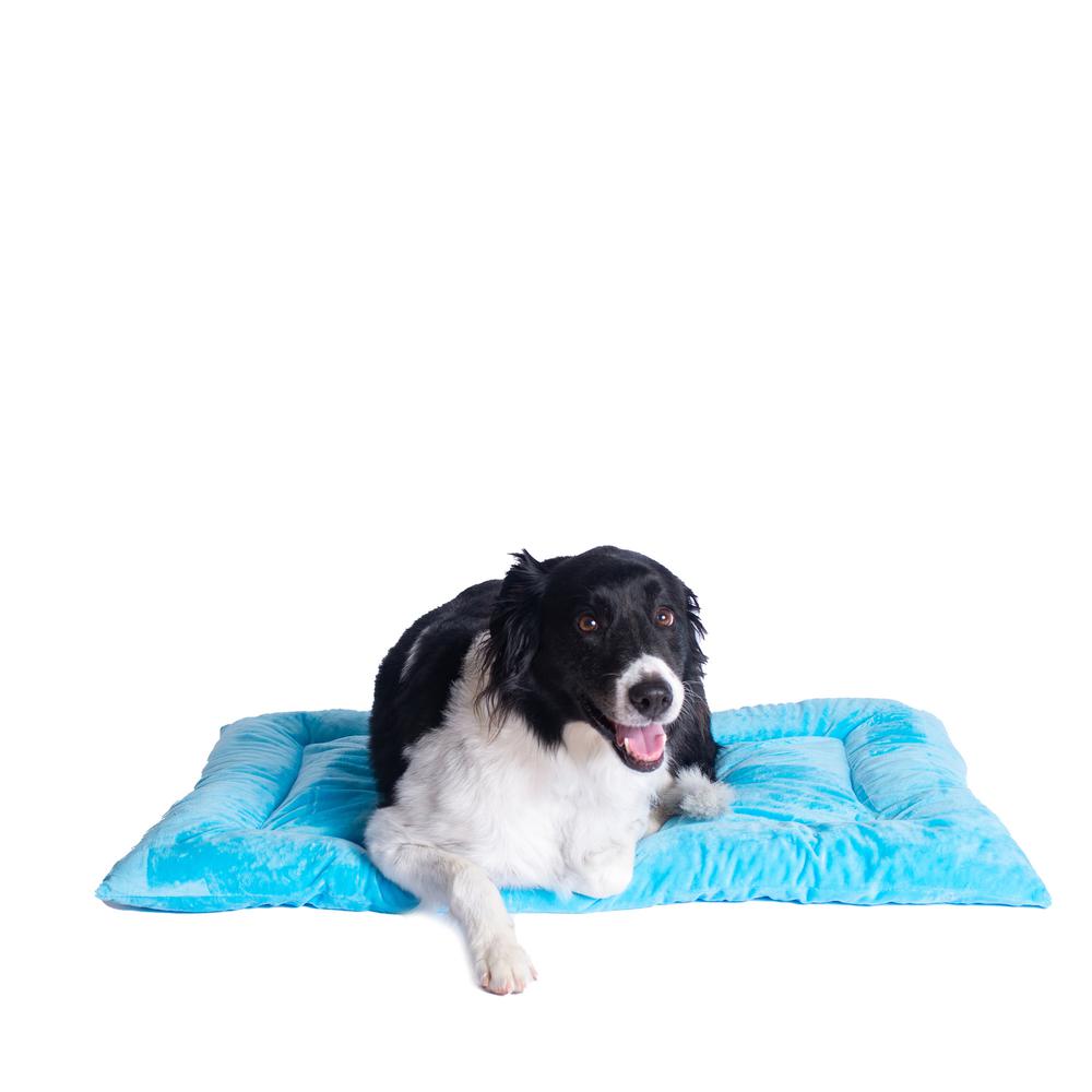 Large Pet Bed Mat With Poly Fill Cushion In Sky Blue. Picture 1