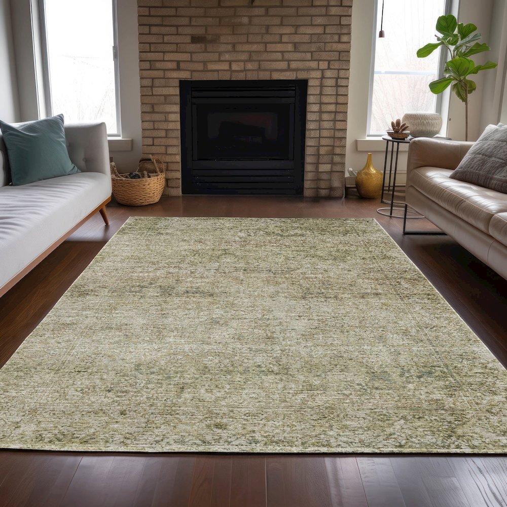 Machine Washable Indoor/Outdoor Chantille ACN2103 Sage 3' x 5' Rug. Picture 6