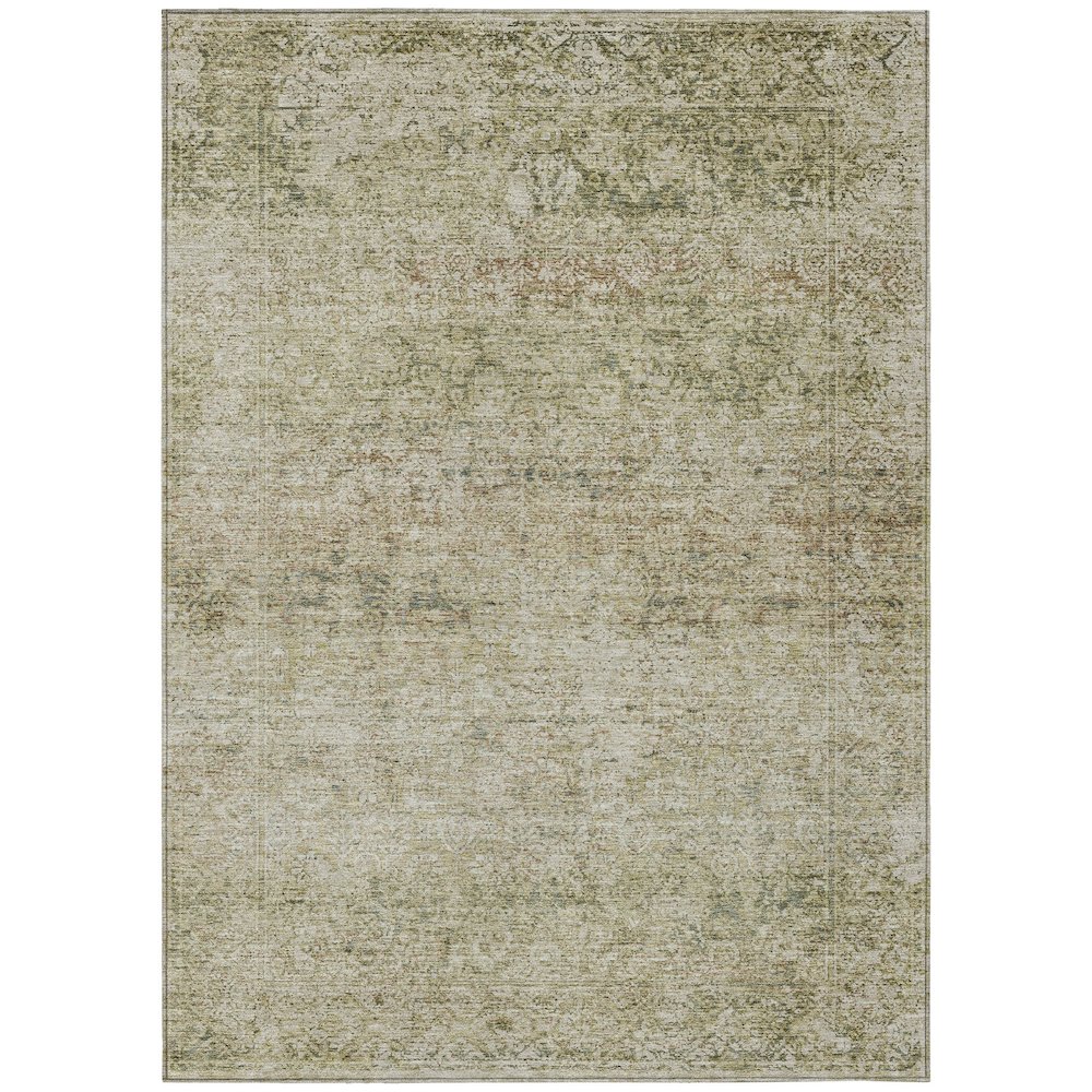 Machine Washable Indoor/Outdoor Chantille ACN2103 Sage 3' x 5' Rug. Picture 1