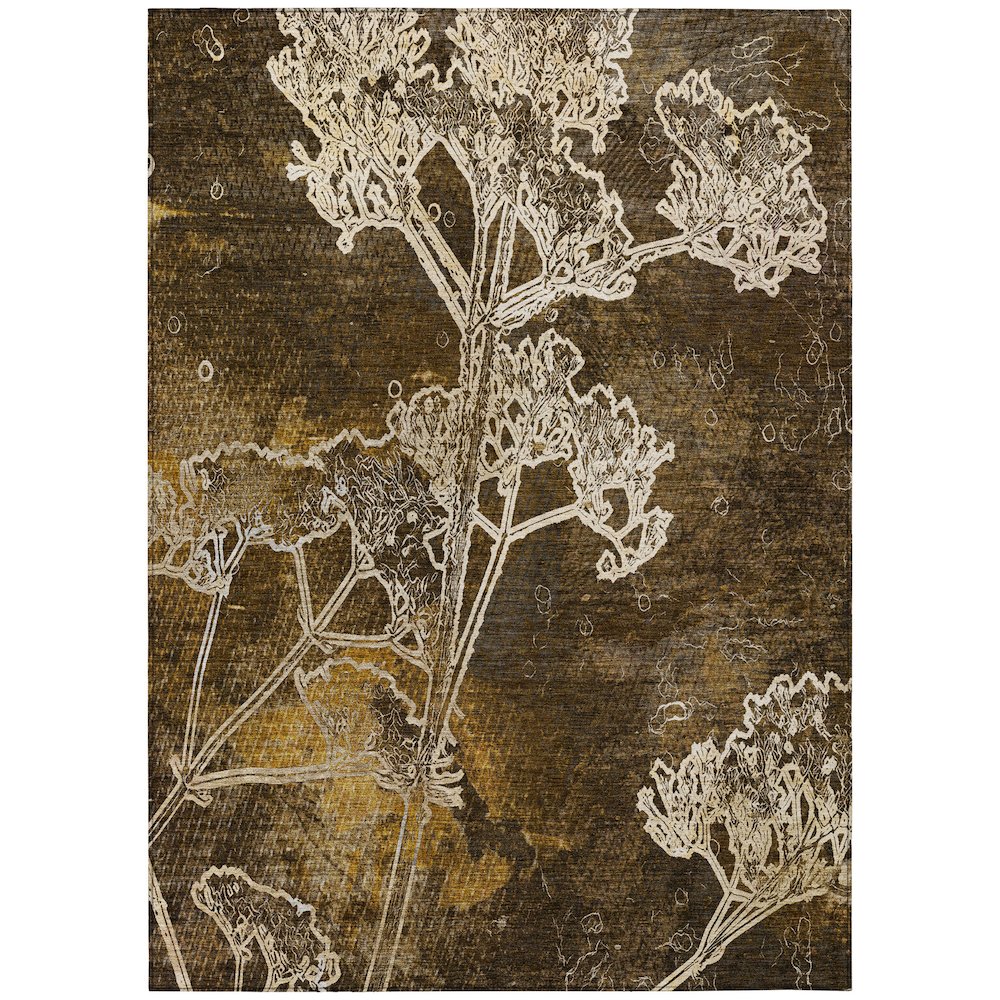 Machine Washable Indoor/Outdoor Chantille ACN2239 Brown 3' x 5' Rug. Picture 1