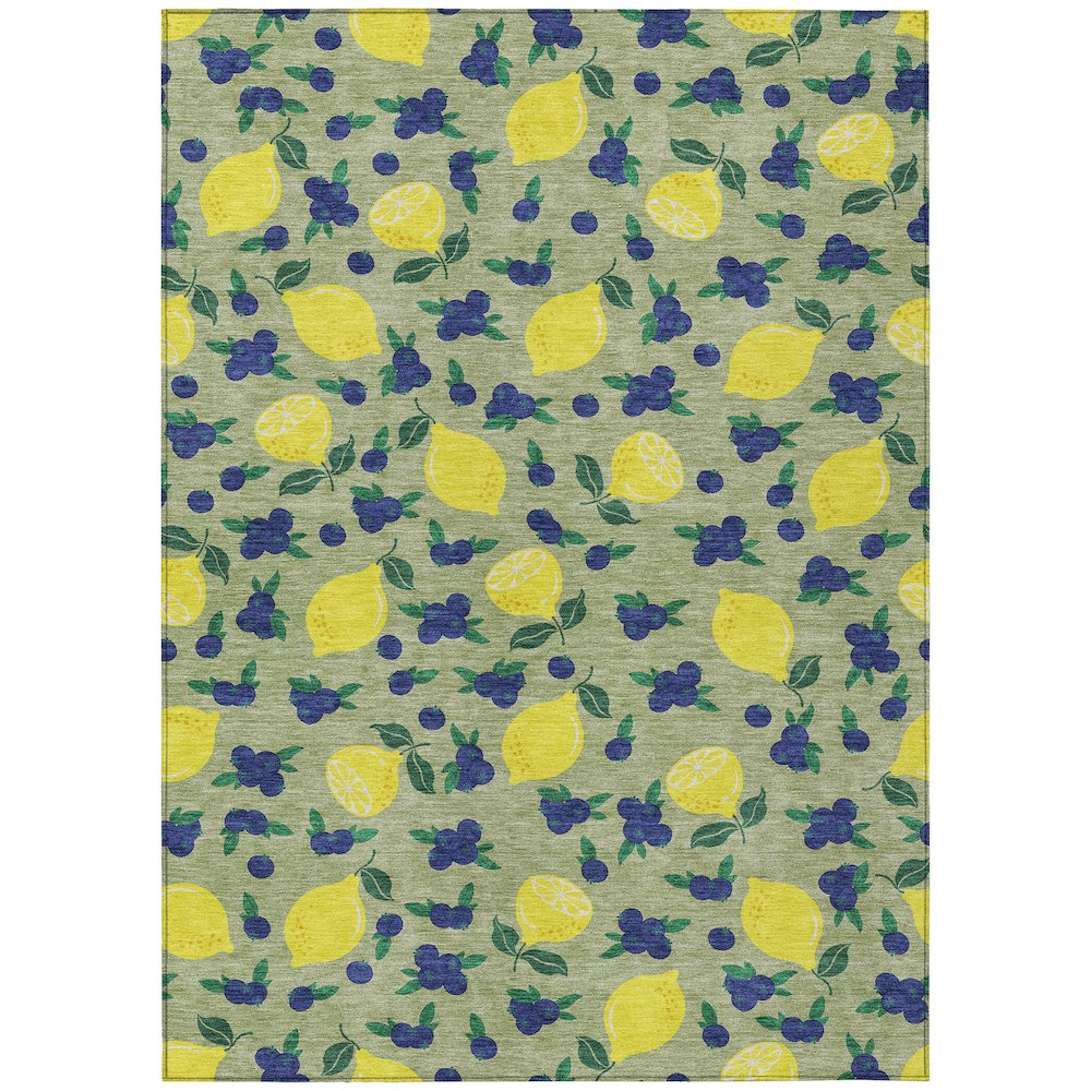 Machine Washable Indoor/Outdoor Chantille ACN2354 Green 3' x 5' Rug. Picture 1