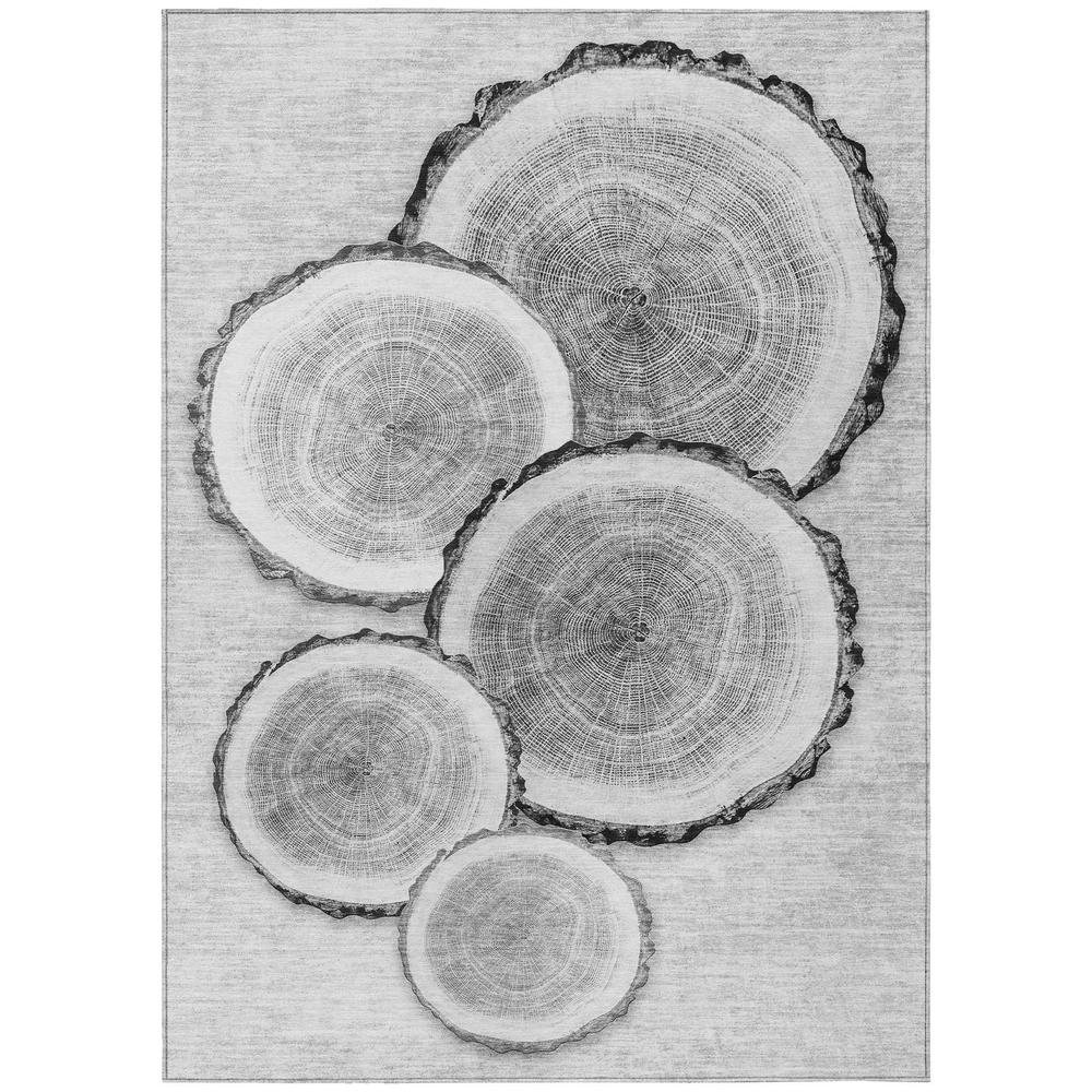 Chantille ACN575 Gray 3' x 5' Rug. Picture 1