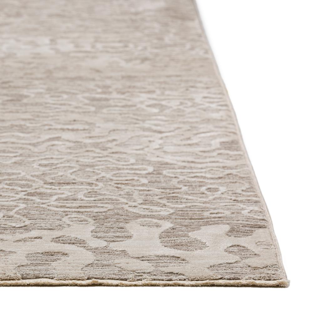Denizi DZ6 Silver 5'3" x 7'8" Rug. Picture 6